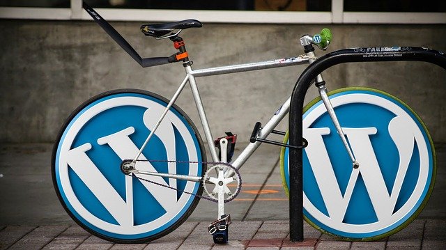 wordpress logo na kole